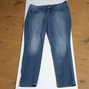 Torrid Jeans
